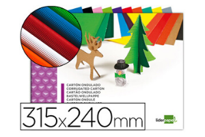 CARTÓN ONDULADO A4 BLOC 10H  LIDERPAPEL